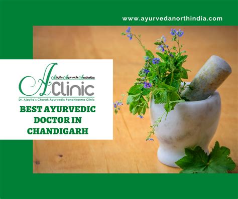 Best Ayurvedic Doctor In Chandigarh Ayurvedanorthindia Ayurvedic