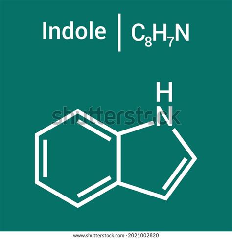 Chemical Structure Indole C8h7n Stock Vector Royalty Free 2021002820