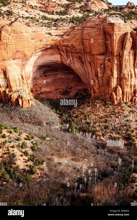 The historic Betatakin ruins in Navajo National Monument, Arizona Stock ...