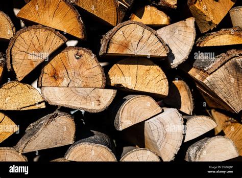 Stacked Firewood For Camp Fires And Fireplaces Close Up Showing