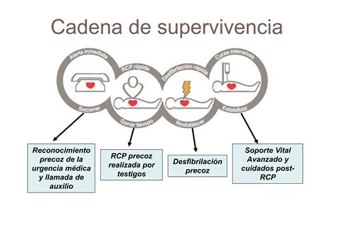 Curso Primeros Auxilios Pptmagisterio Ppt