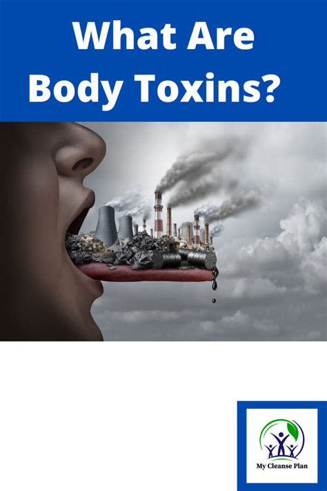 What Are Body Toxins? - What Do Toxins Do? - My Cleanse Plan