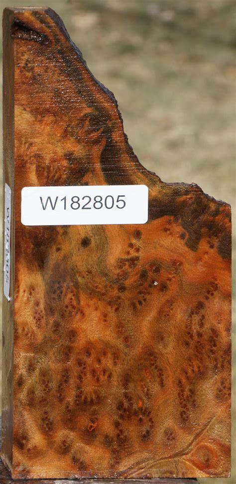 Camphor Live Edge Burl Lumber Cook Woods