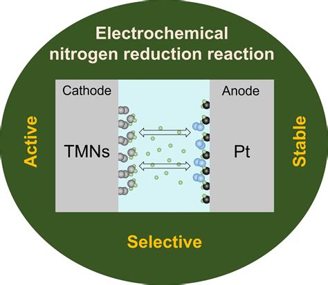 Recent Progress In Electrochemical Nitrogen Reduction On Transition