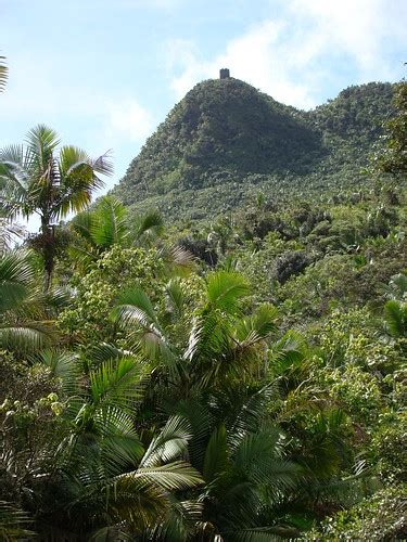 Flickriver: Most interesting photos from Naranjito, Puerto Rico