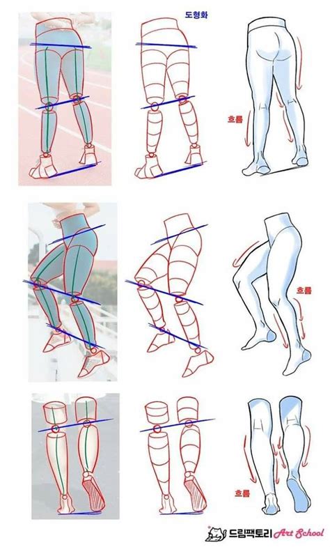 Pin de none en Drawing Tutorials Tutorial de anatomía Cuaderno de