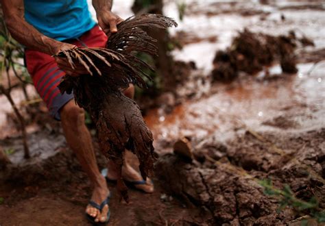 Fotos Lama Invade Brumadinho Mg Após Rompimento De Barragem Da Vale 25012019 Uol Notícias