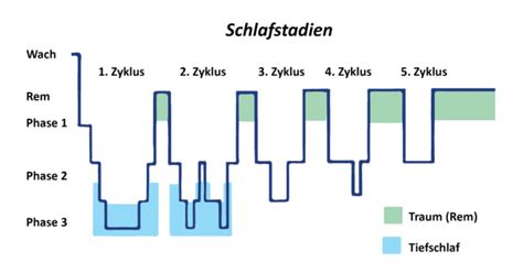 Tiefschlafphase Was Passiert Im Tiefschlaf Und Wie Lange Dauert Er