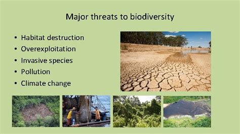 Wildlife And Climate Change Major Threats To Biodiversity