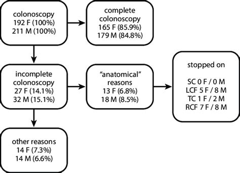 Colonoscopy Results Sc Sigmoid Colon Lcf Left Colic Flexure Tc