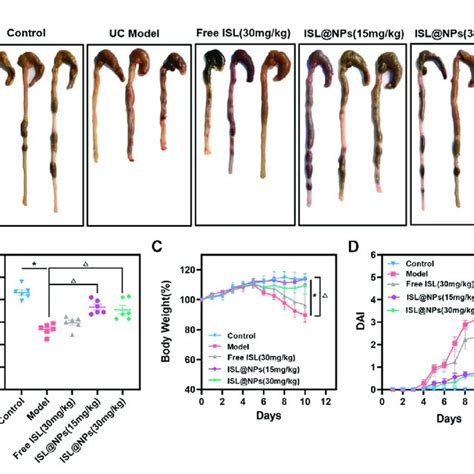 In Vivo Therapeutic Efficacy Of Islnps On Dss Induced Uc Mice After 10