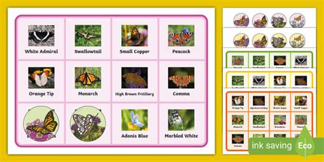 FREE! - Butterfly Bingo Game Printable (teacher made)