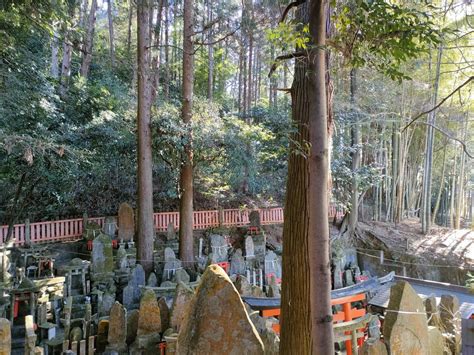 西野山・稲荷山・今熊野山・六条山・清閑寺山・清水山・東山 しゆうさんの大文字山・如意ヶ嶽・稲荷山の活動データ Yamap ヤマップ