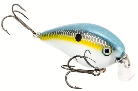Large Crankbaits
