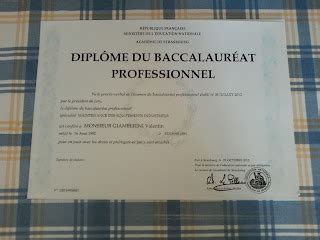 Professionnel MEI Diplôme du baccalauréat