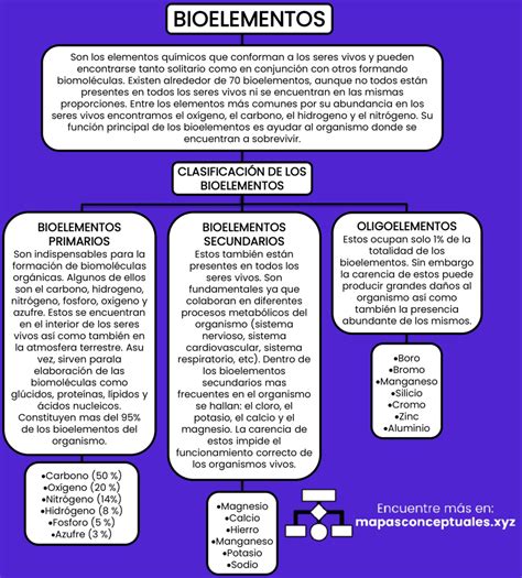 Mapa Conceptual Bioelementos Y Biomolг Culas Pdf NBKomputer