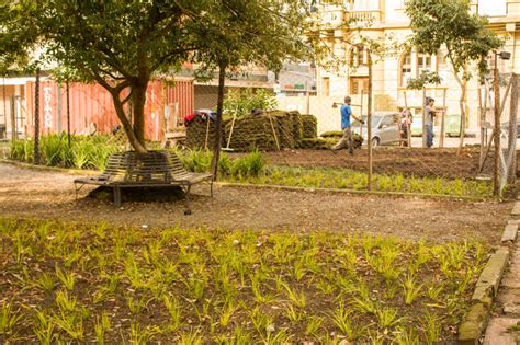 Paisagismo Obras Na Praça Coronel Pedro Osório Serão Concluídas Em