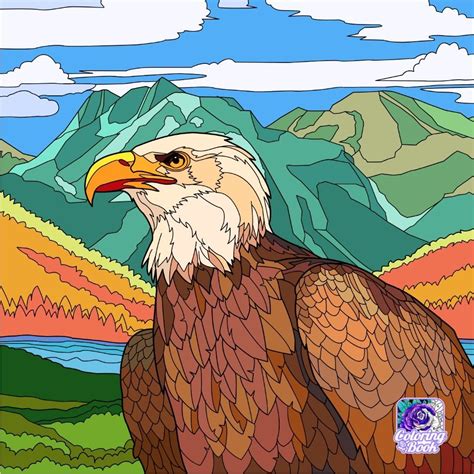 Solve PUZZLE Bald Eagle Jigsaw Puzzle Online With 196 Pieces