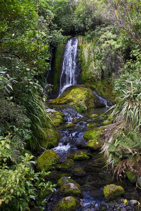 Cascada Y Rocas De Beaufiful Cubiertas Con El Musgo Imagen De Archivo