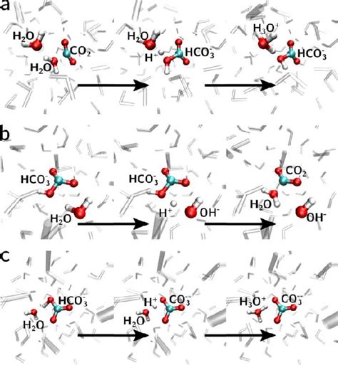 Figure 4 From Carbon Dioxide Bicarbonate And Carbonate Ions In Aqueous Solutions Under Deep