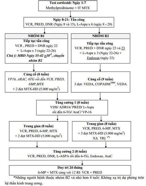 Phác Đồ Điều Trị Lơ Xê Mi Cấp Dòng Lympho B Nhóm B Bộ Y Tế Medlib