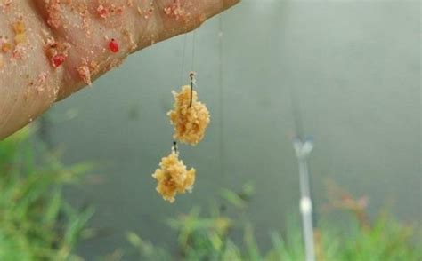 熱天唯獨這樣做，大鯽魚才會一釣上癮，百釣不厭！釣法1分鐘學會 每日頭條