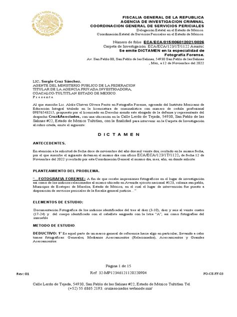 Dictamen Ejemplo Pdf