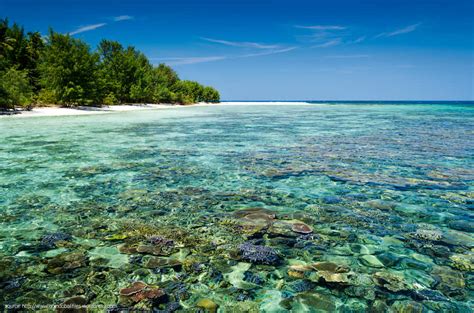 Welcome To Karimun Jawa Dseason Hotel Karimun Jawa Jepara