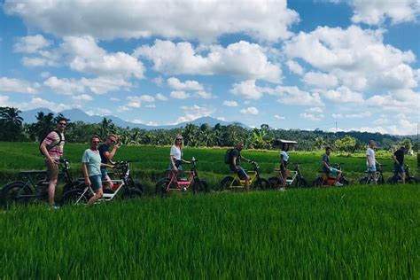 Half Day Electric Fat Bike Tour Of Ubud