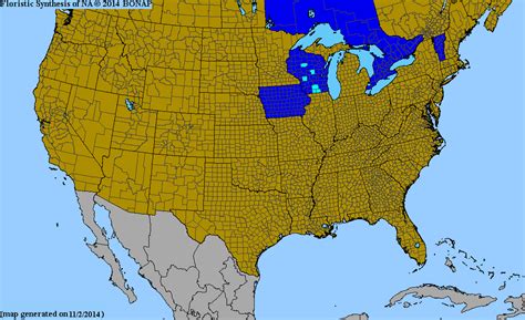 Bonap North American Plant Atlas Taxonmaps