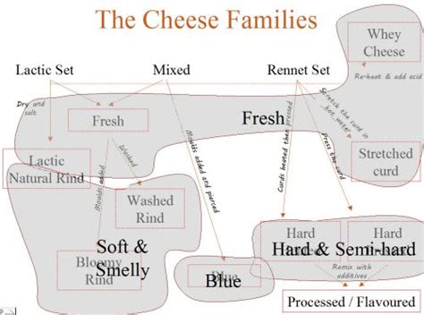 Cheese Types, part two – Classifying cheese types by texture and flavour