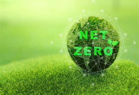 ¿cómo Lograr Una Cadena De Suministro Netzero