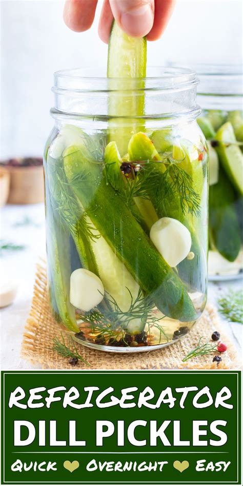 Overnight Refrigerator Dill Pickles Evolving Table Recipe Pickles