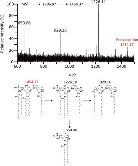 Negative Ion Maldi Qit Tof Ms Spectrum Of Parent Peak At M Z