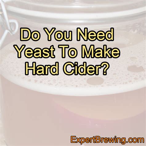 Do You Need Yeast To Make Hard Cider? – ExpertBrewing.com