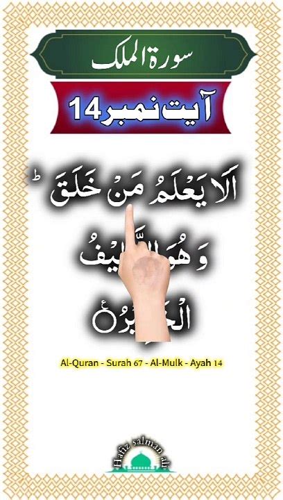 Al Quran Surah 67 Al Mulk Ayah 14 Daily Tilawat Quran Hafiz