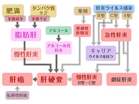 肝臓疾患（肝臓の異常）について 神戸電鉄「三木」駅すぐ。池田クリニック 内科、消化器・肝臓内科、整形外科 兵庫県三木市末広