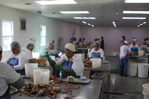 Seafood Processors Share Improvements Thanks To Ncda Cs Grant