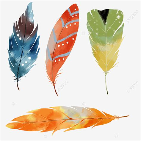 Plumas De Aves De Colores Elementos Graficos Plantilla PSD Descarga