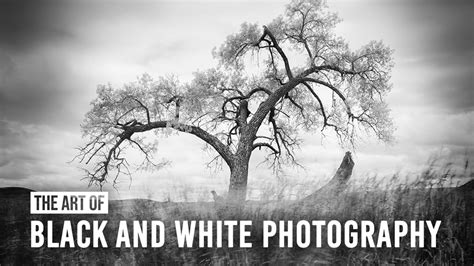 Exploring The Timeless Beauty Of Black And White Photography