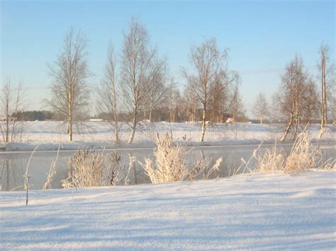 Winter scenery stock photo. Image of nature, winter, finland - 6801412