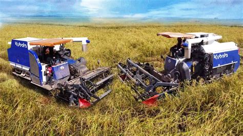 Combine Harvester Kubota Harvesting Rice Great Work Safety Operator