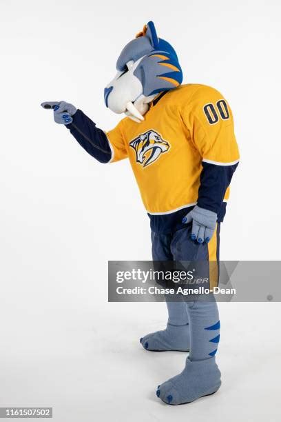 Nashville Predators Mascot Photos and Premium High Res Pictures - Getty ...