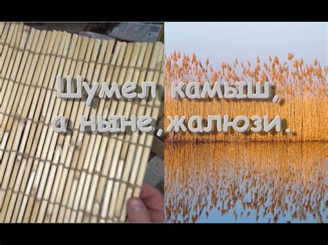 Жалюзи из Камыша.Ну,или коврик.:D - YouTube