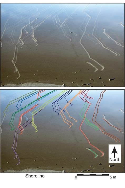 How Death Valleys Sailing Rocks Move On Their Own Wired Uk