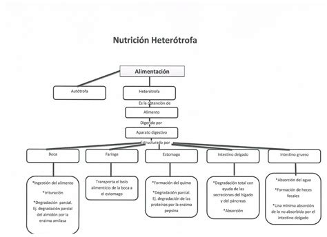 Biología III Lectura 1 Nutrición heterótrofas