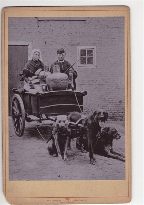 Original 1880s Mastiffs Pulling Milk Cart Cabinet Card Photo Etsy