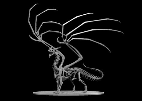 Dragon Skeleton By Mz4250 Download Free Stl Model