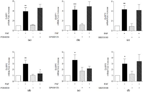 MAPK Involvement In PAF Stimulated DUSP1 And DUSP5 MRNA Expression In