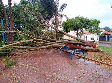 Vento forte derruba árvores e destelha casas durante chuva em Cerquilho